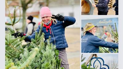 Spejder sælger juletræer